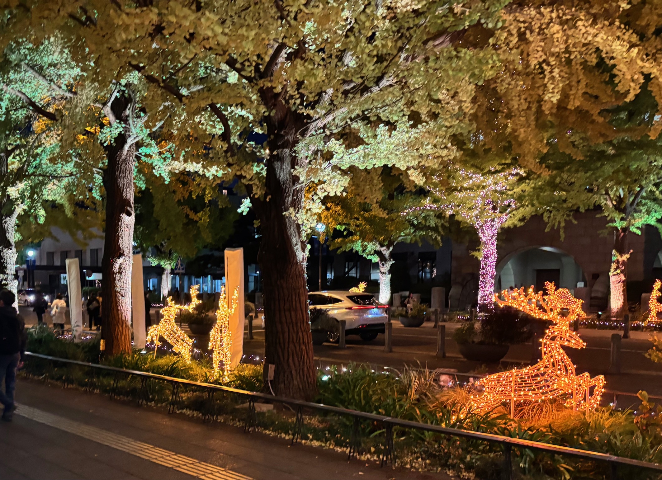 日本大通りのイルミネーションの様子。トナカイと街路樹へのライトアップ＆イルミネーション